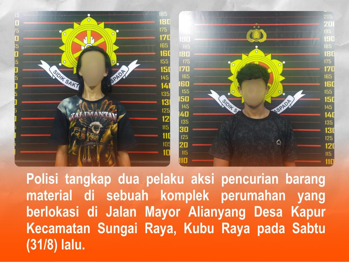 WhatsApp Image 2024-09-03 at 10.19.29