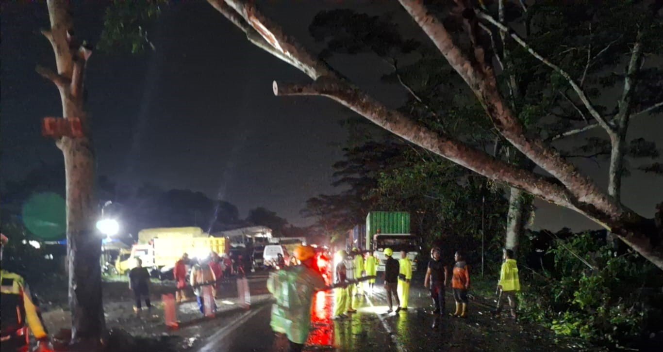 WhatsApp Image 2025-08-19 at 15.59.19