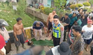 WhatsApp Image 2026-01-26 at 10.03.56